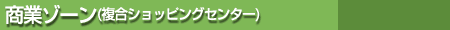 商業ゾーン（複合ショッピングセンター）